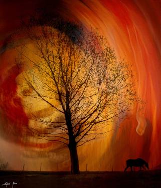 Eifert János - A világ végén (1982)