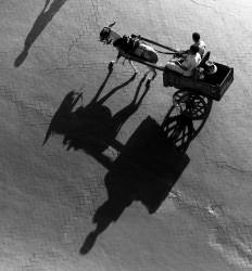 Eifert János - Szamár fogat (1968)