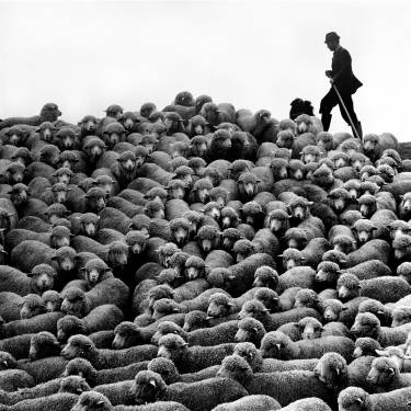 Eifert János - Nyáj (1978)