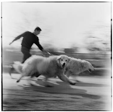 Eifert János - Vágta (1970)